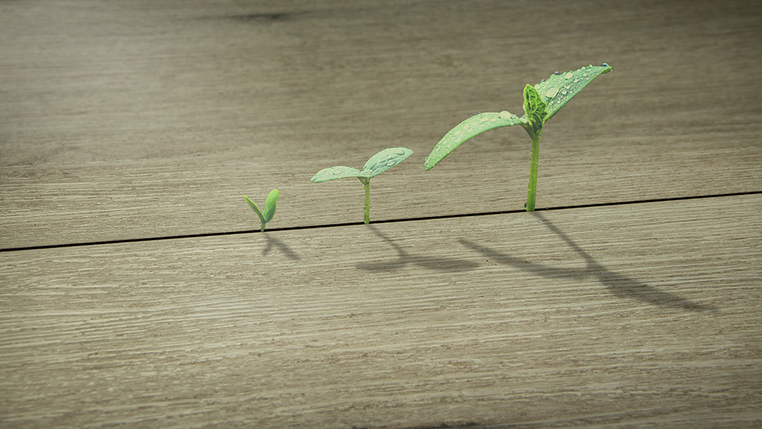 建材界「全能型選手」，紛特石晶墻板·地板，不允許你不知道！