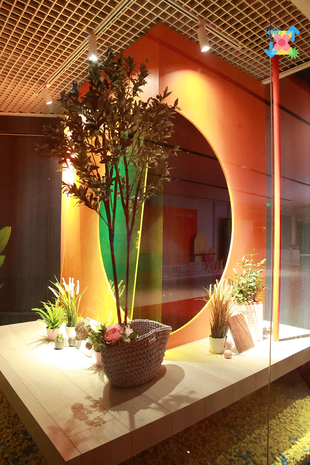 紛特石晶，開啟繽紛之旅